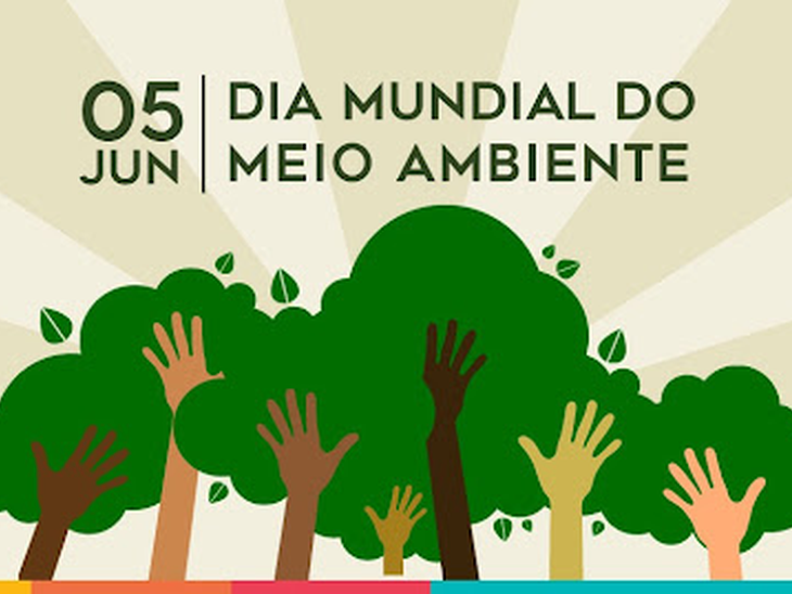 A bioeletricidade e a Semana do Meio Ambiente, por Zilmar José de Souza