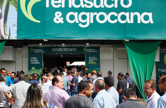 Produção de biogás como bioenergia pode abastecer uma cidade de até 700 mil habitantes por uma década