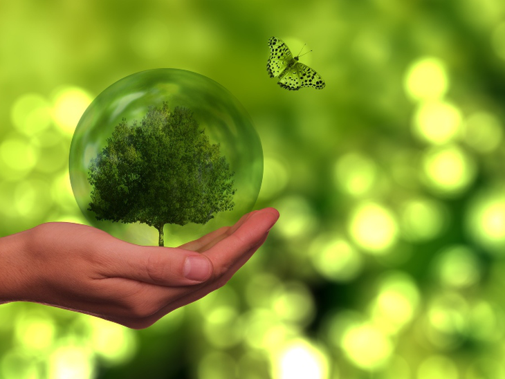 Começa amanhã (06/11) a COP 27