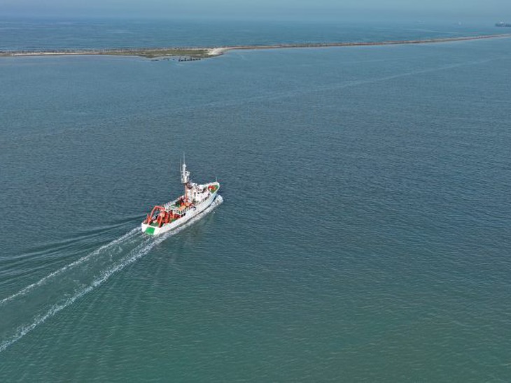 Maior projeto de biodiversidade marinha inicia na região Sul do Brasil