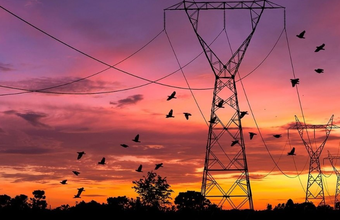 Geração distribuída atinge marco de 50 GW e se consolida como pilar para segurança energética