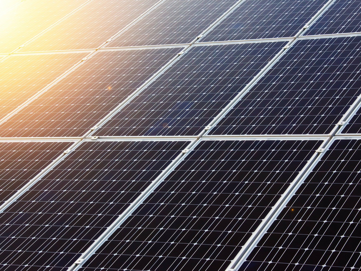 Painéis solares abrigam microrganismos com potencial aplicação biotecnológica