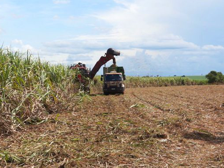 Comissão especial debate papel dos biocombustíveis na transição energética