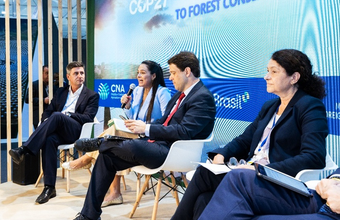 Papel da indústria na conservação das florestas é debatido em painel do estande do Brasil na COP27